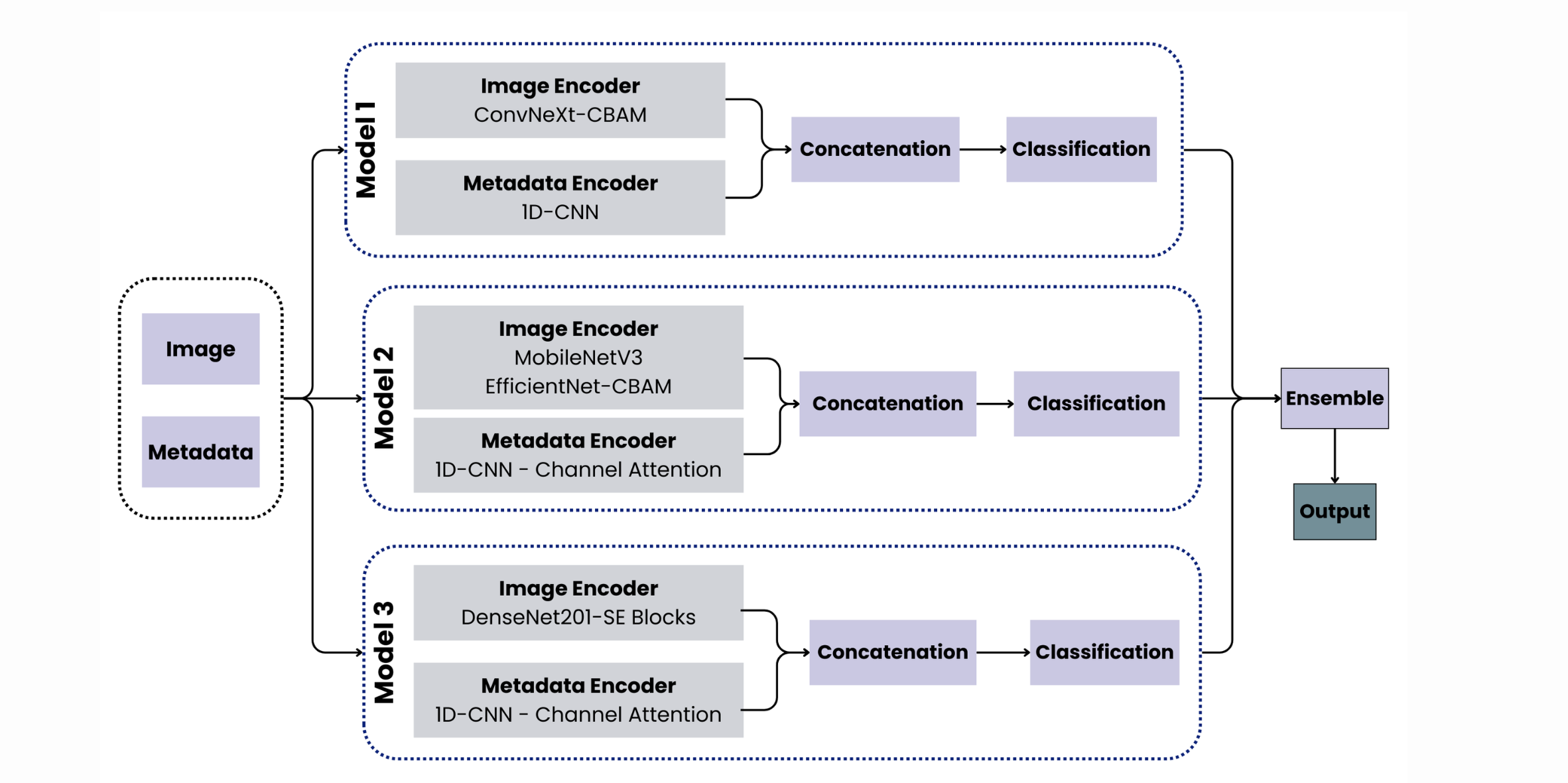 A Multimodal Deep Ensemble Framework for Skin Lesion Classification